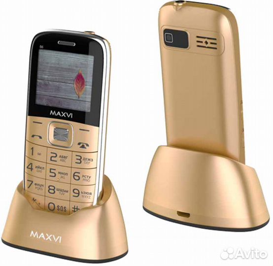 Maxvi B6 Gold