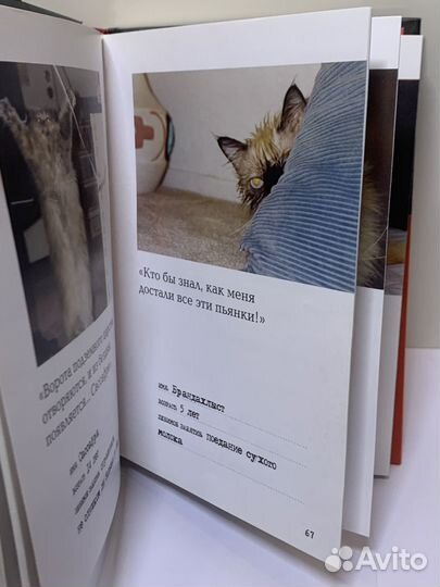 Осторожно, вредная кошка, Джим Эдгар