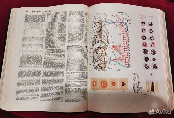 Популярная медицинская энциклопедия