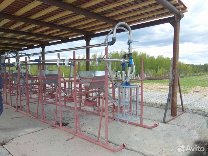 Летний лагерь для доения крс (монтаж по России)