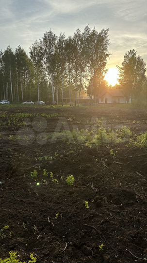 Участок 6,6 сот. (ИЖС)