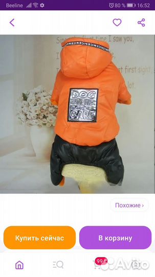 Продам костюм на девочку мини той-терьера