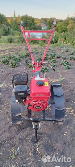 Мотоблоки и культиваторы бу