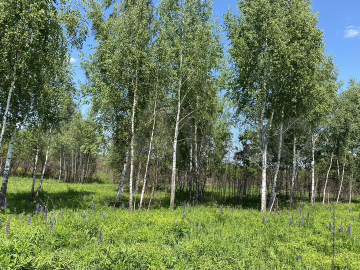 Дача 20 м² на участке 7,5 сот.