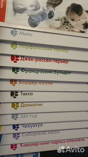 Рассказы о животных; собаки и кошки