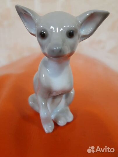 Фарфор Lladro. Чихуахуа