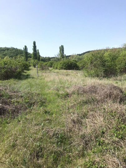 Участок 1,93 га (СНТ, ДНП)