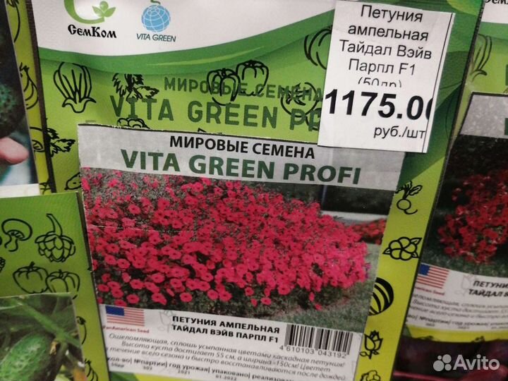 Петуния ампельная Тайдал Вэйв F1