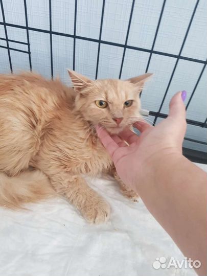 Впустите в свой дом и в свое сердце солнышко