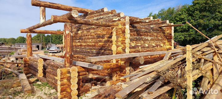 Сруб дома из бревна