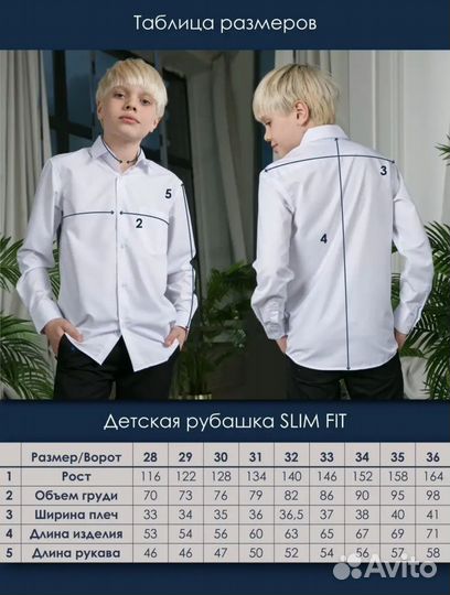 Школьные рубашки Бростем из модала и хлопка