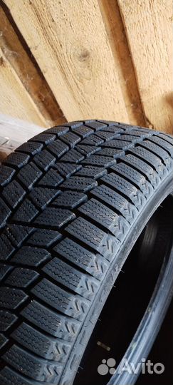 Maxxis SP02 Arctic Trekker 205/50 R17 93T