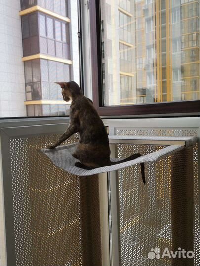 Когтеточка для счастливой кошки