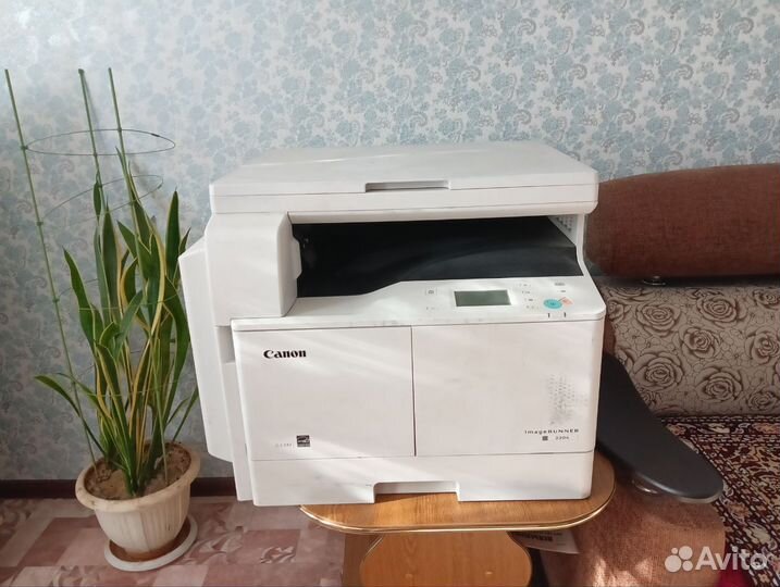 Мфу Canon imagerunner 2204