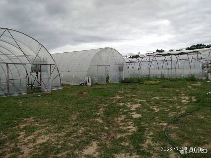 Тепличное хозяйство