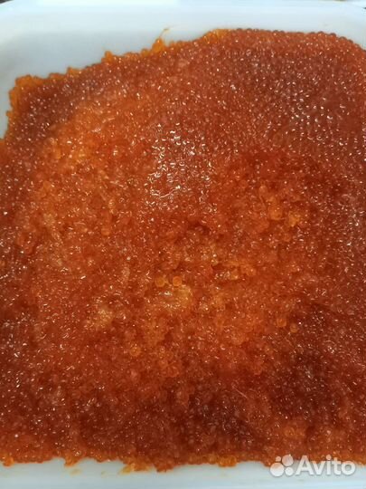 Продам красную икру кеты