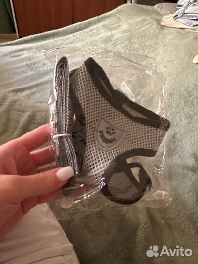 Шлейка с поводком для кошек и собак