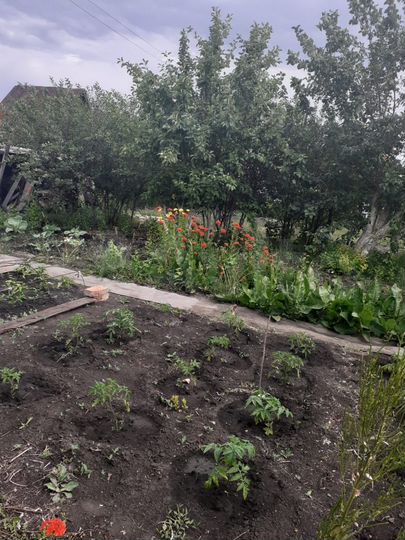 Дача 30,7 м² на участке 6 сот.