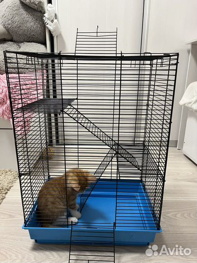 Клетка для грызунов