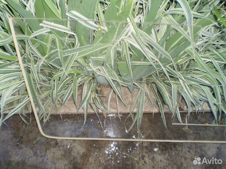 Лабораторное стекло