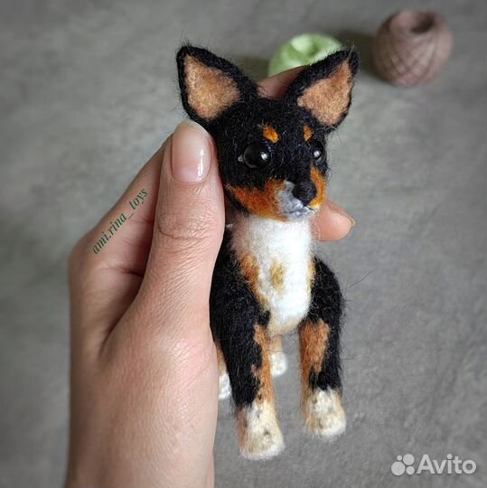 Йоркширский терьер. Миниатюрная игрушка собака,той