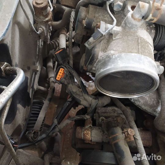 Suzuki esteem элпроводка моторн отсека с блок 1.8