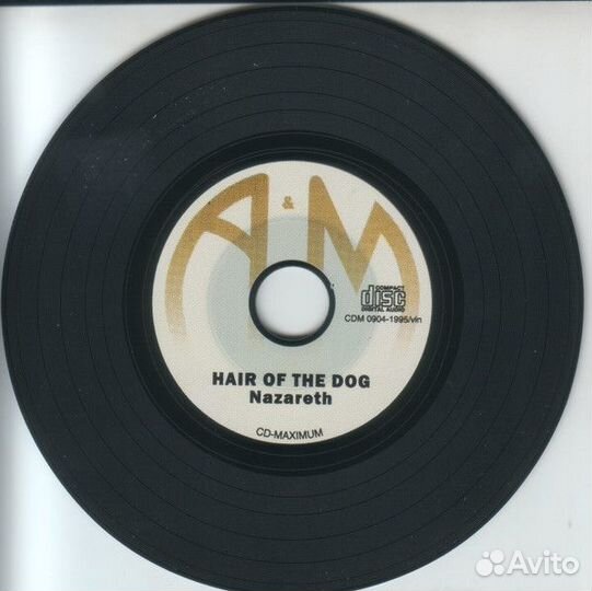 Harrison Mccartney Lennon Ono Ringo Laine