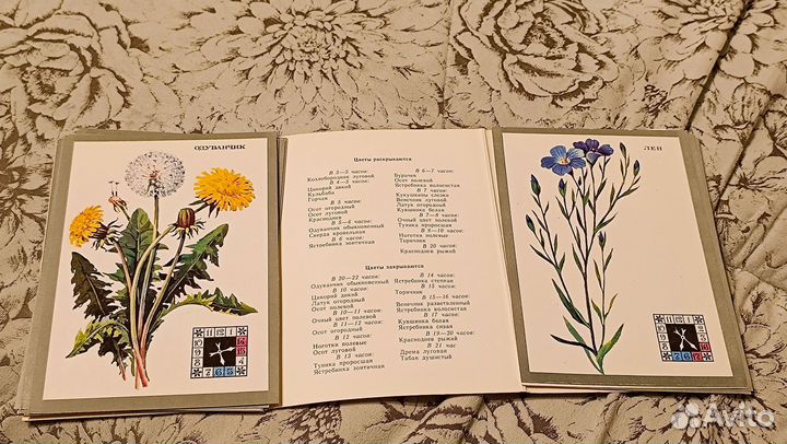 Открытки СССР, природа