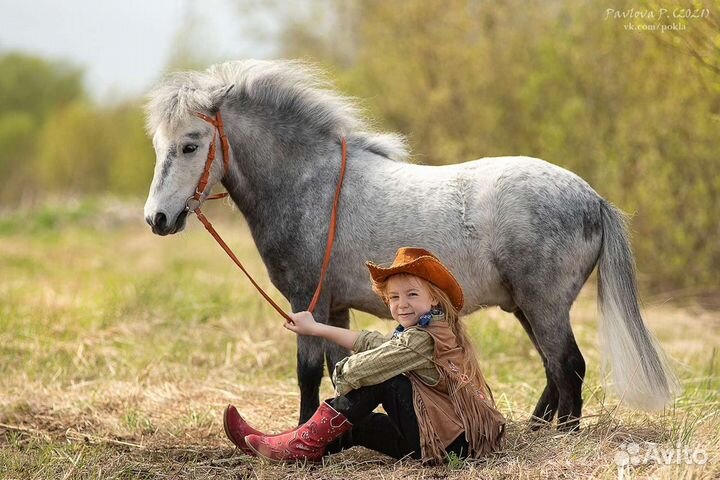 Лошадка и пони на праздник