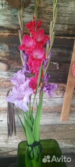 Охапки цветы, свежая срезка