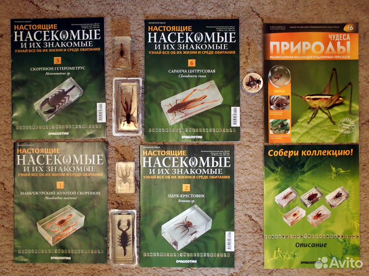 Куклы народов мира, насекомые, солнечная система