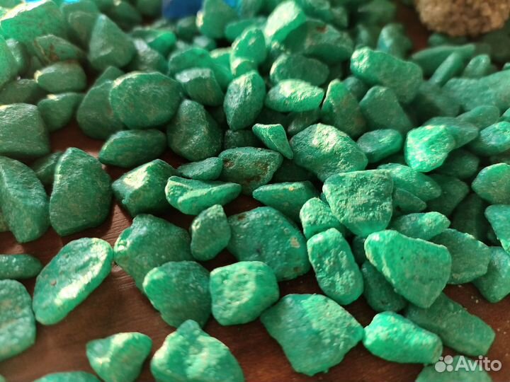 Камни и растение для аквариума