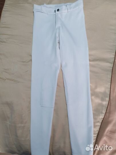 Редингот, стартовые бриджи, поло