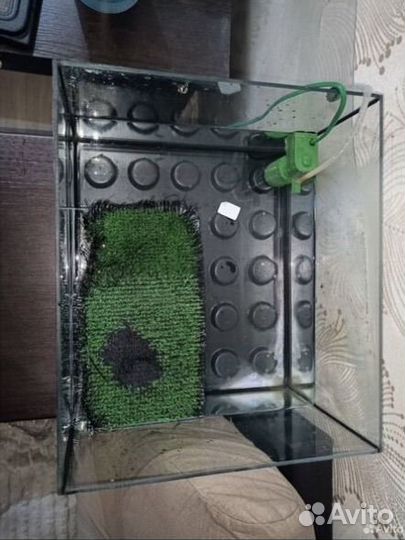 Террариум для красноухой черепахи