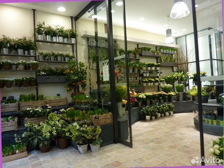 Цветочный магазин: полный комплекс услуг