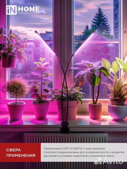 Фитолампа настольная на прищепке 20Вт