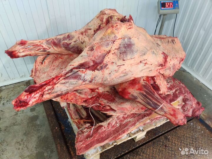 Мясо свинина