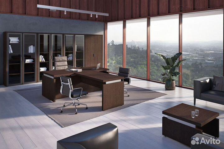 Кабинет руководителя Triumf