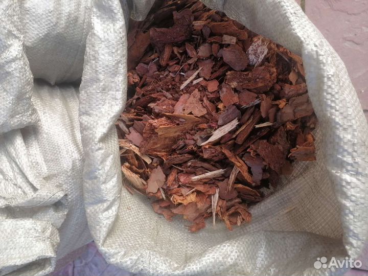 Мульча кора