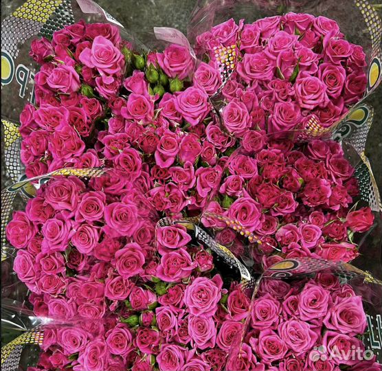 Цветы Розы оптом и в розницу