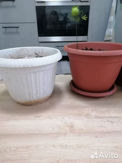 Горшки под домашние растение