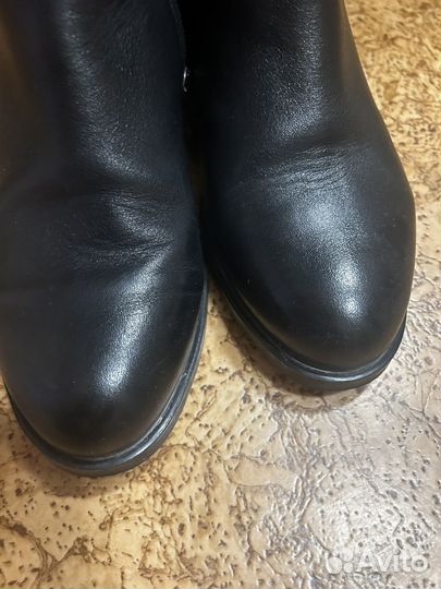 Сапоги осень весна женские