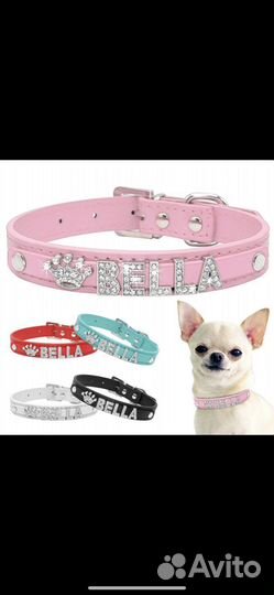 Ошейники из нат и эко кожи для мал и сред собак