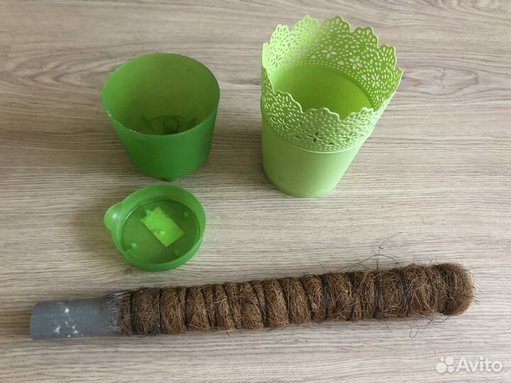 Горшок ливингрин, флористич. глина