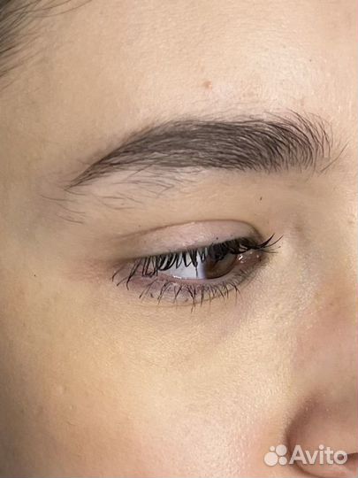 Бровист Балашиха