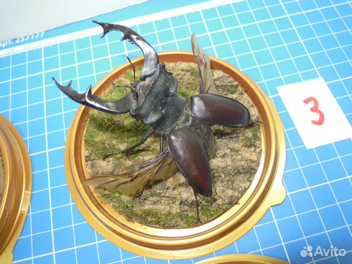 Украшение интерьера для Виталия