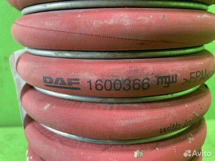 Патрубок интеркулера DAF XF105