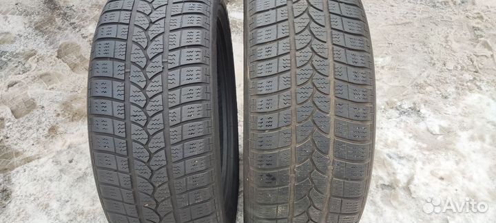 Tigar Winter 1 225/55 R17 101T