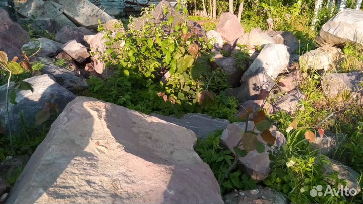 Дикий камень