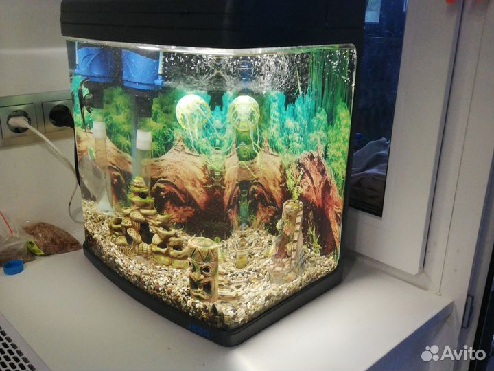 Аквариум